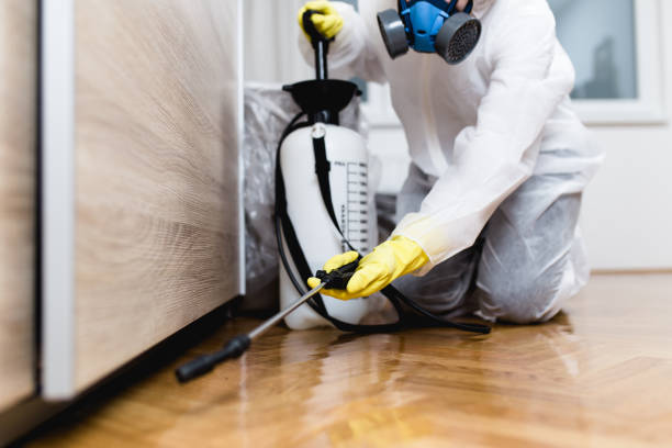Best Emergency Pest Control  in Aspinwall, PA