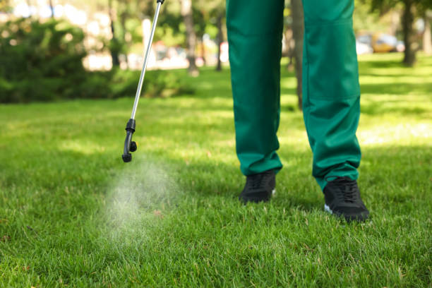 Best Wasp Removal Services  in Aspinwall, PA