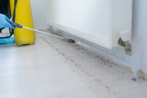 Best Termite Control Services  in Aspinwall, PA