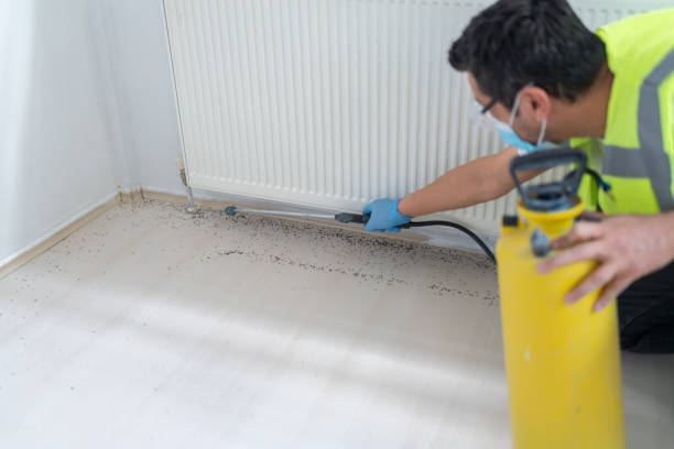  Aspinwall, PA Pest Control Pros