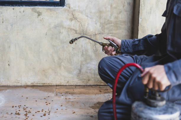 Best Local Pest Control Services  in Aspinwall, PA